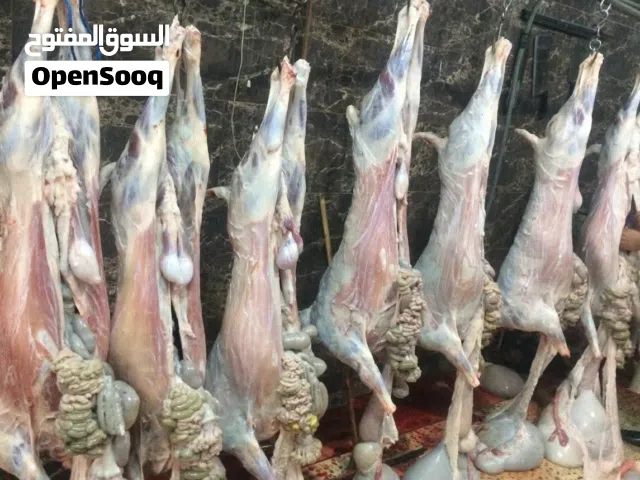 ذبح الأضاحي