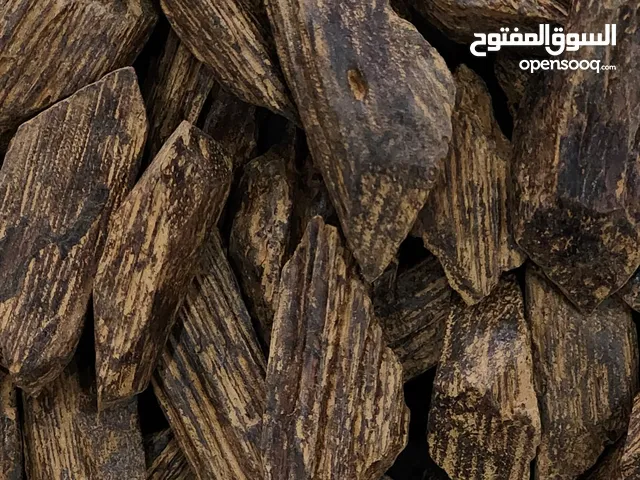 عود تايجر اندنوسي