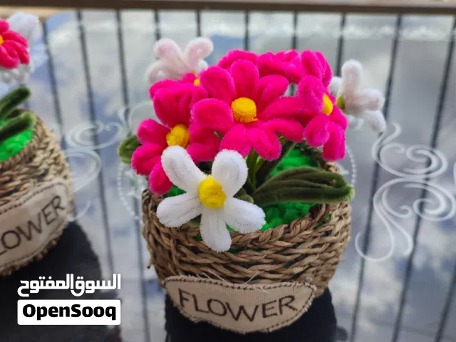 ورود مخملية تدوم