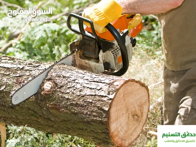 شجر قص وتقليم بالمنشار البنزين