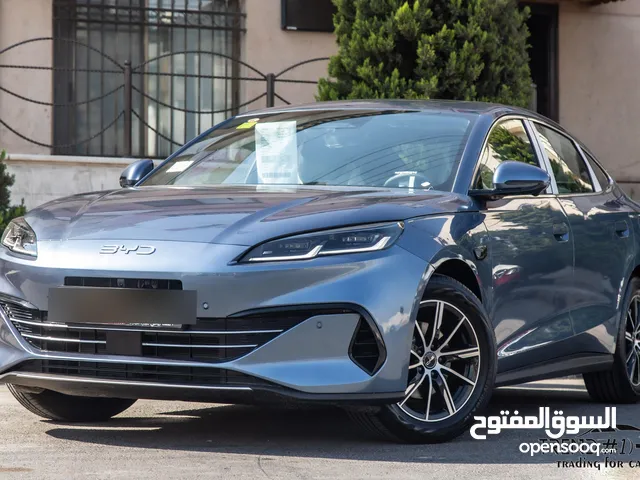 2025, بي واي دي, سيل