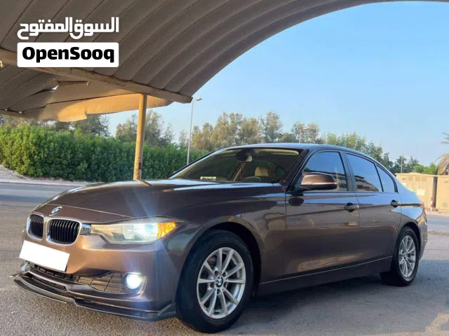 2013 BMW 3 Series 316