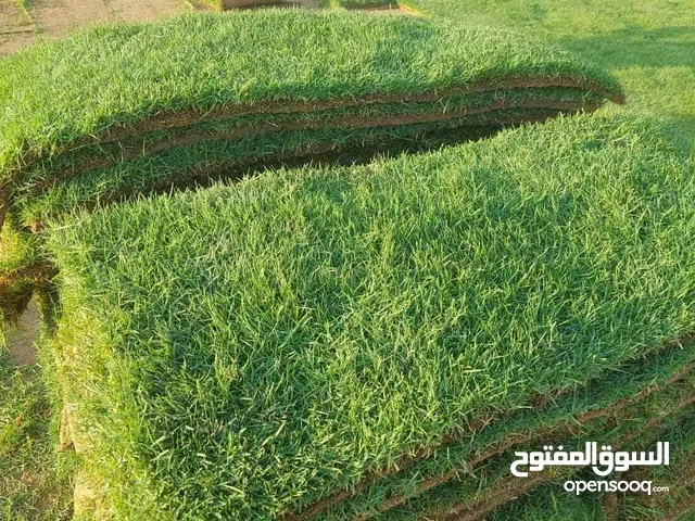 تنسيق حديق وفللال وشاليهات