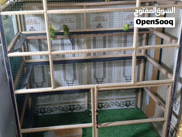 قفص جديد  ارتفاع 136 عرض 117 نزال 68 مع طيور حب عدد 9 السعر 130
