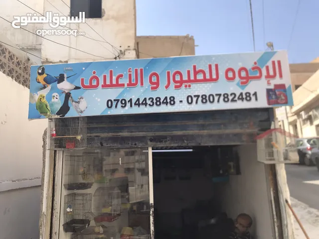 جواز كوكتيل جواز حب مكفول