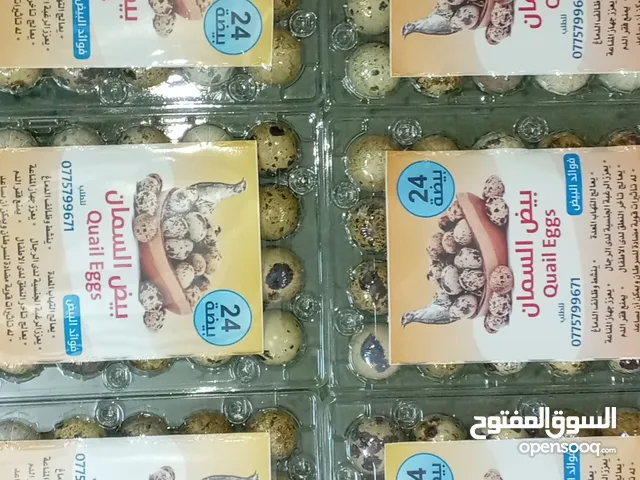 بيض فري للمائده