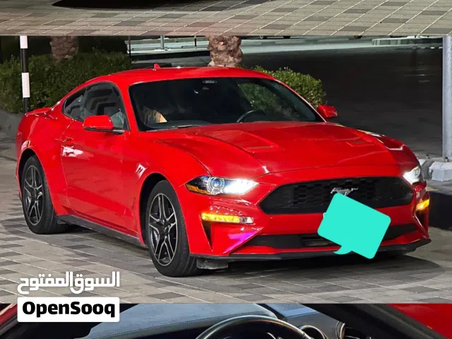 Used Ford Mustang in Muscat