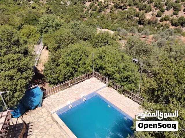 3 Bedrooms Farms for Sale in Jerash Sakib