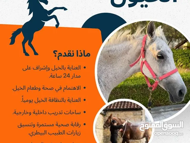 خدمات لأيواء الخيول