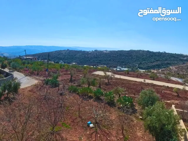 قطعة أرض سكنية تنظيم سكن ب بأحكام خاصة (طابقين و روف) في منطقة بدر الجديدة (قرية بلال/حوض أبو مخيمر)