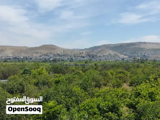 Farm Land for Sale in Jordan Valley Other