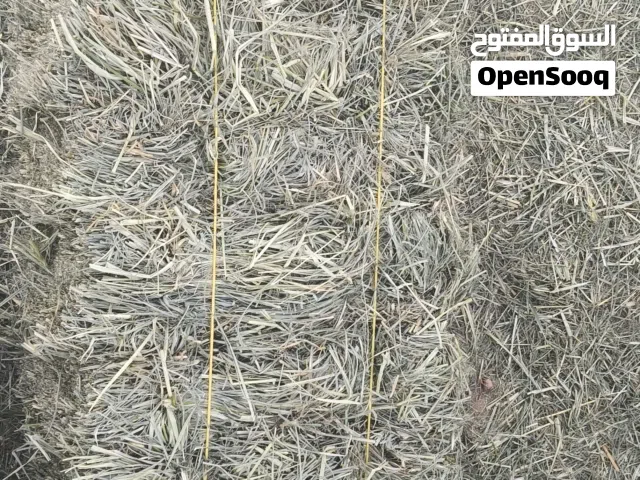 حشيش للبيع فى ولاية ضنك تربيط جديد  04/06/2026 ناعم وأخضر