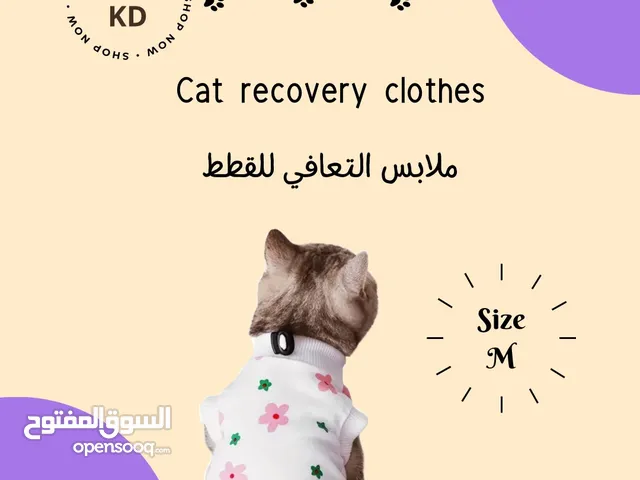 Cat recovery clothes ملابس التعافي للقطط