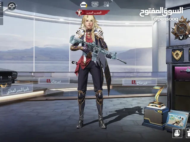 Pubg Accounts and Characters for Sale in Irbid