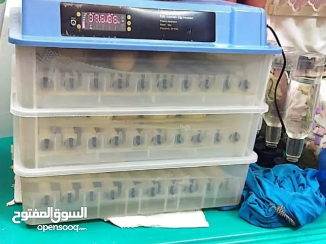 فقاسة صينيه 196بيضة فل اتوماتيك نسبة نجاحها بإذن الله مليون بالمية للبيض المخصب