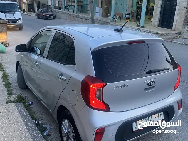 New Kia Picanto in Ramallah and Al-Bireh