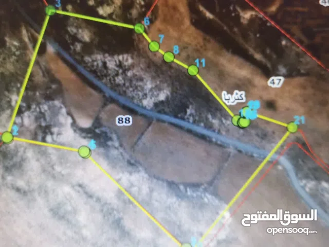 Farm Land for Sale in Al Karak Other