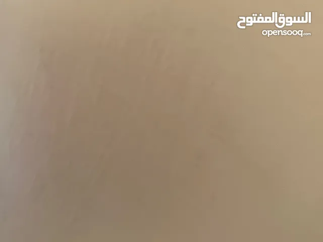 زكريا الجيزي الاصم