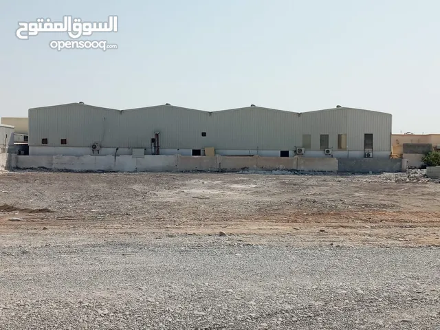  Land for Rent in Al Batinah Barka