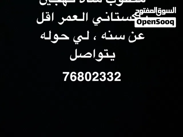 مطلوب شاه تهجين باكستاني