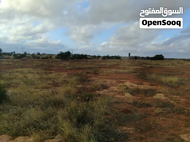 Residential Land for Sale in Tripoli Ain Zara
