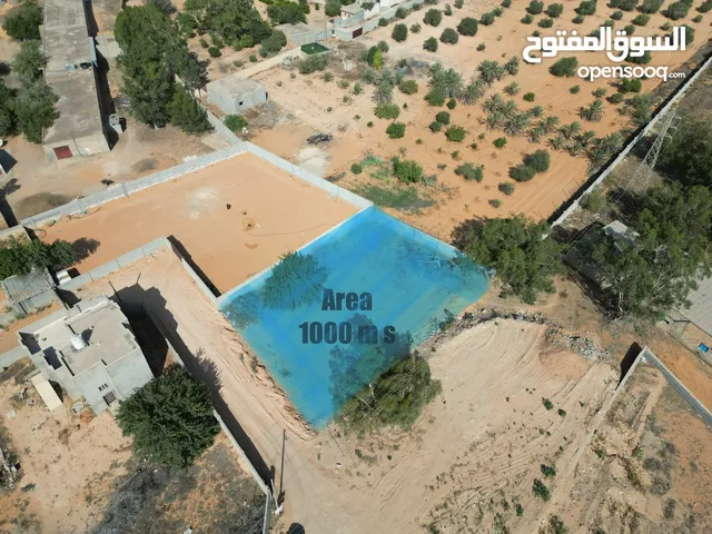 قطعة ارض 1000 متر تاجوراء سيرتي بالقرب من مسجد الامام قالون