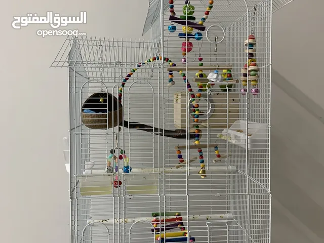 قفص للبيع مع طيران