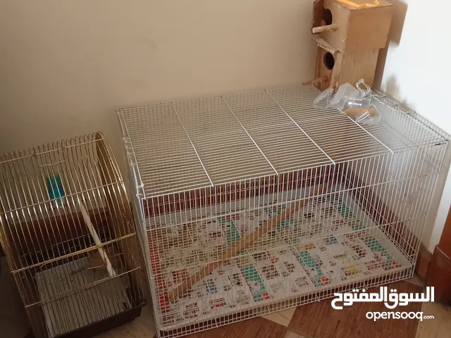 Bird cage for sale
