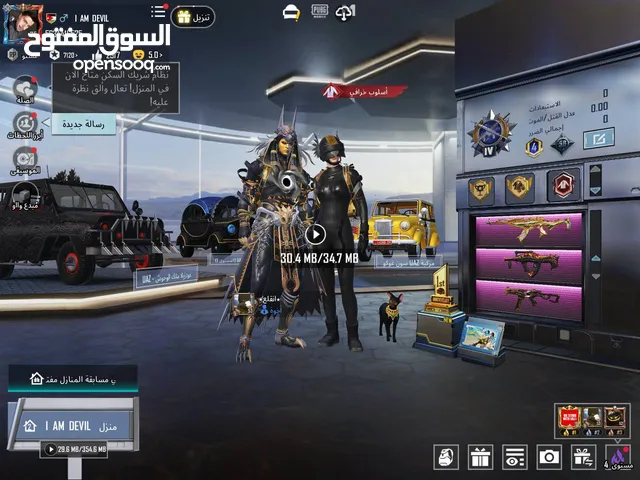 Pubg Accounts and Characters for Sale in Zarqa