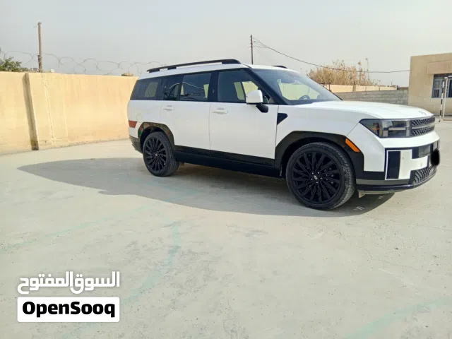 سنتافي كالكرفي 2024