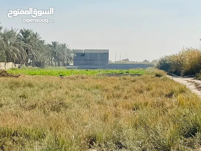Farm Land for Sale in Baghdad Hor Rajab