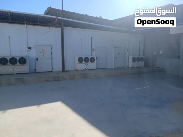 تلاجات للايجار طريق الشط