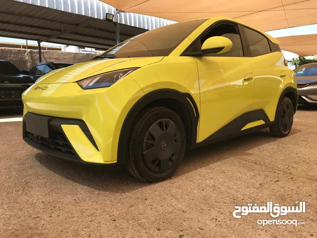 Used BYD Seagull in Zarqa