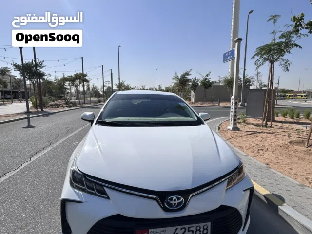 Used Toyota Corolla in Abu Dhabi