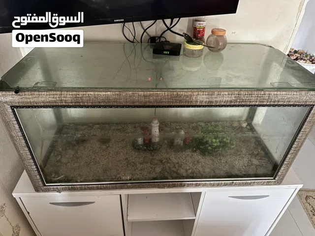 حوض السمك كبيره