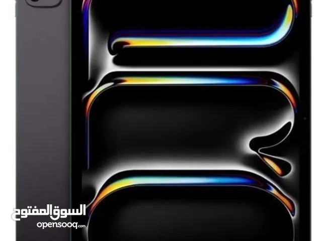Apple iPad 256 GB in Basra