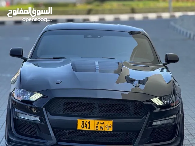 بنفر و زايدة موستنج شلبي 2018+