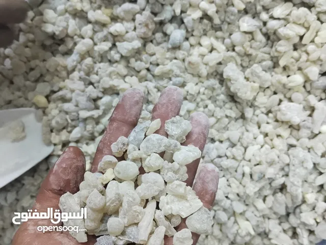 متوفر اللبان العماني مال حاسك حال العلاج والبخور اسعار مناسبه وخاصه ب التجار فاخر من الاخر