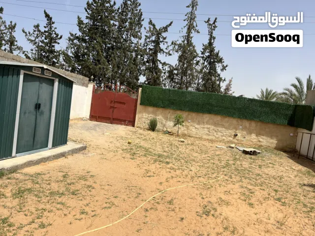 ارض مع استوديو