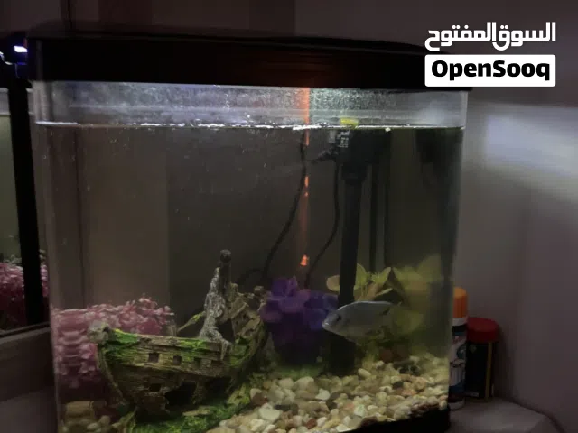 حوض سمك جاهز بلكامل