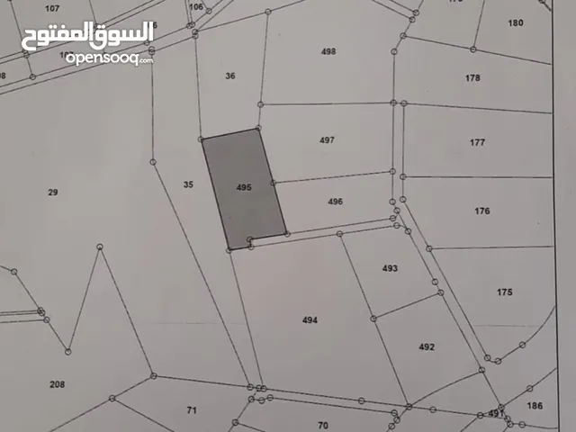 اراضي مميزة للبيع في جلعد حوض الرويسات وام انجاصة تصلح لمزارع وشاليهات