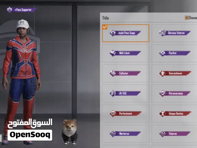 Pubg Accounts and Characters for Sale in Northern Governorate