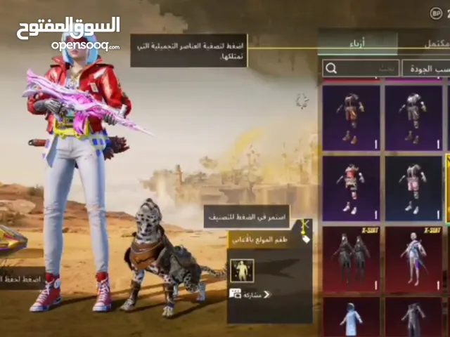 Pubg Accounts and Characters for Sale in Beheira