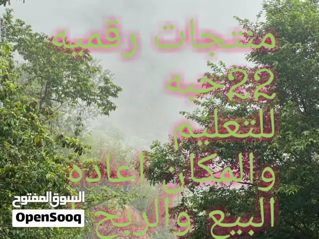 منتجات رقميه