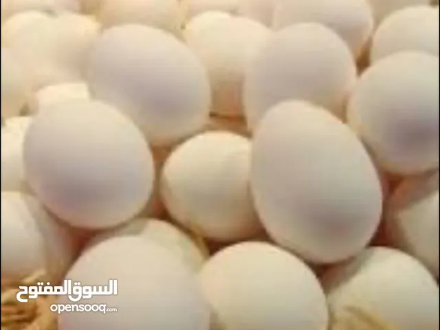 بيض بلدي في وادي عبدون حي القيسيه