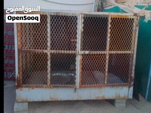 شبك نظيف قوي وثقيل