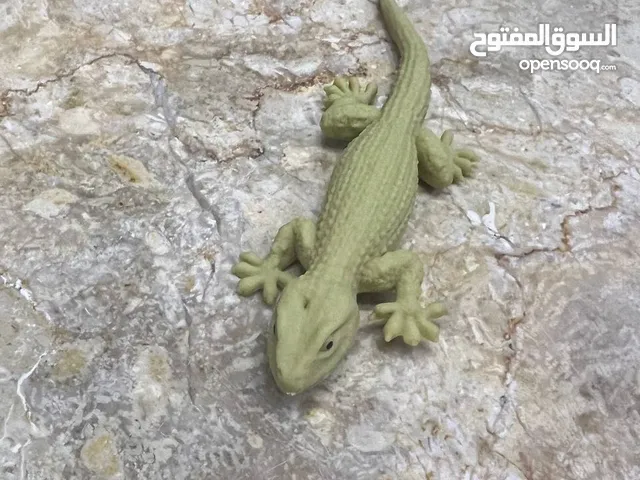 ابو بريص لعبة اخو الحقيقي