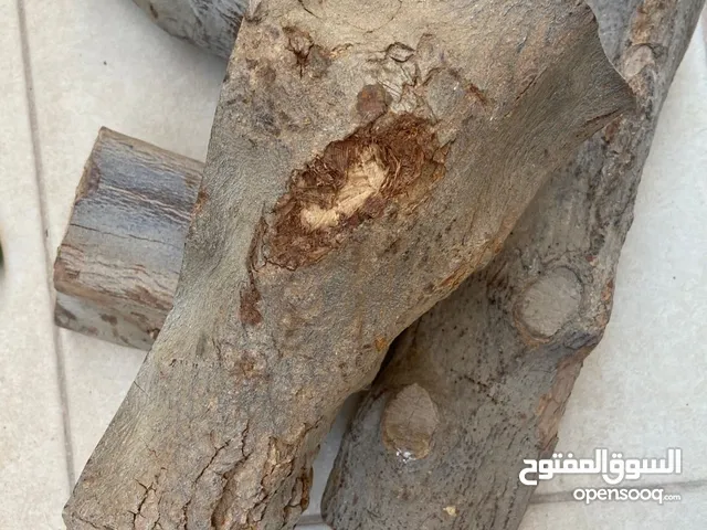 حطب افريقي مستورد ممتاز