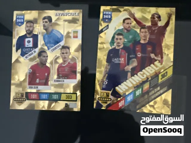 invincible football card