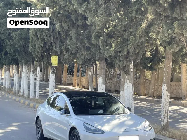 2020 تيسلا موديل 3 Long Range